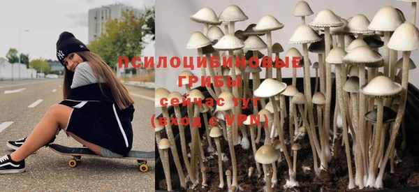 крисы Володарск