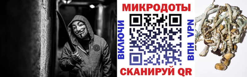 сколько стоит  ОМГ ОМГ ONION  Псилоцибиновые грибы Cubensis  Обнинск 